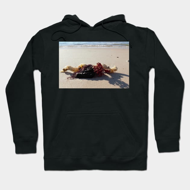 Beach Still Life Hoodie by searchlight